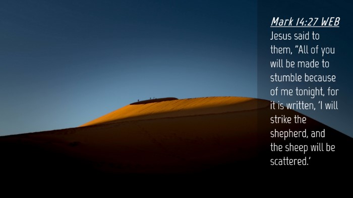 Picture 04 - Mark 14:27 WEB Desktop Wallpaper - Jesus said to them, 