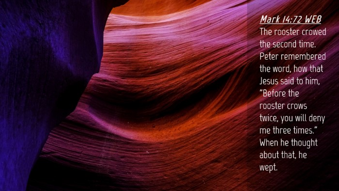 Picture 04 - Mark 14:72 WEB Desktop Wallpaper - The rooster crowed the second time. Peter - Desktop Bible Verse Wallpaper
