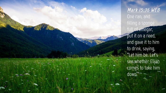 Picture 04 - Mark 15:36 WEB Desktop Wallpaper - One ran, and filling a sponge full of vinegar, - Desktop Bible Verse Wallpaper