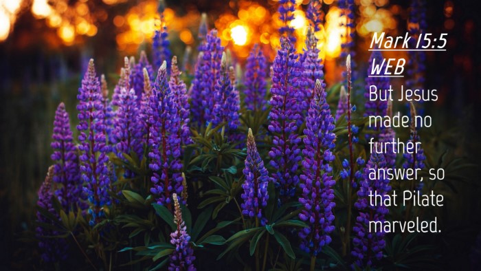 Picture 04 - Mark 15:5 WEB Desktop Wallpaper - But Jesus made no further answer, so that Pilate - Desktop Bible Verse Wallpaper