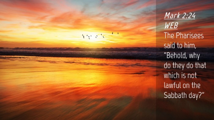Picture 04 - Mark 2:24 WEB Desktop Wallpaper - The Pharisees said to him, 
