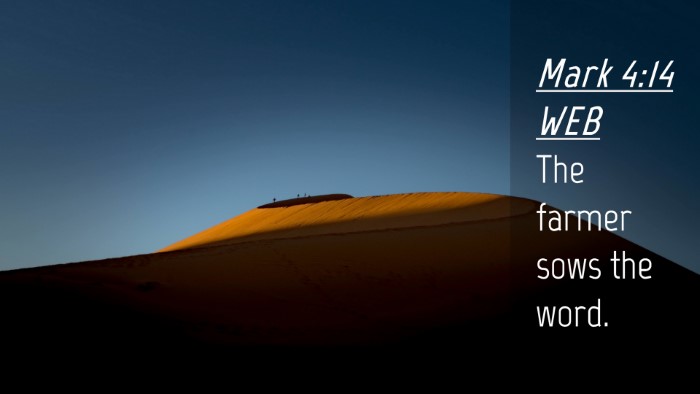 Picture 04 - Mark 4:14 WEB Desktop Wallpaper - The farmer sows the - Desktop Bible Verse Wallpaper
