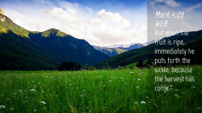 Picture 04 - Mark 4:29 WEB Desktop Wallpaper - But when the fruit is ripe, immediately he puts - Desktop Bible Verse Wallpaper