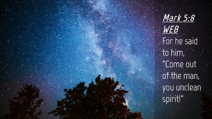 Picture 04 - Mark 5:8 WEB Desktop Wallpaper - For he said to him, 