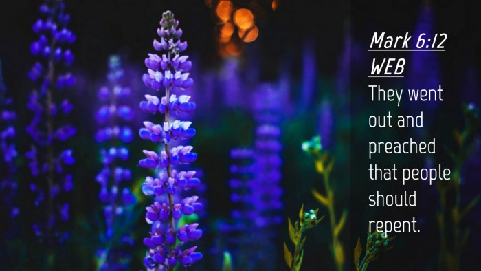 Picture 04 - Mark 6:12 WEB Desktop Wallpaper - They went out and preached that people should - Desktop Bible Verse Wallpaper
