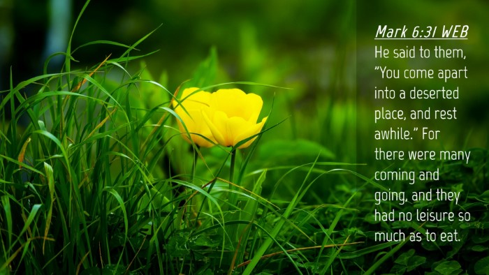 Picture 04 - Mark 6:31 WEB Desktop Wallpaper - He said to them, 