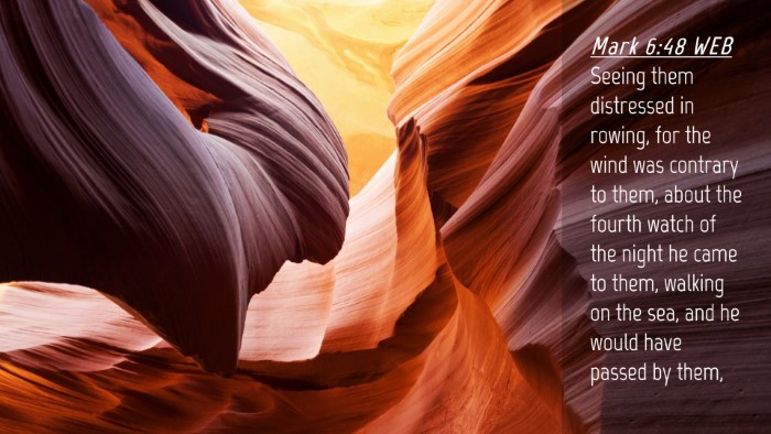 Picture 04 - Mark 6:48 WEB Desktop Wallpaper - Seeing them distressed in rowing, for the wind - Desktop Bible Verse Wallpaper