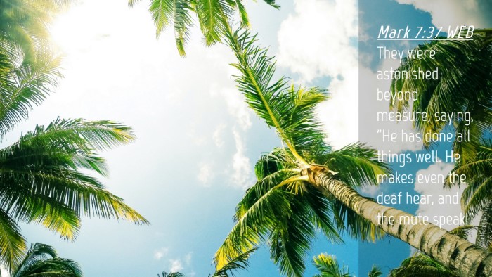 Picture 04 - Mark 7:37 WEB Desktop Wallpaper - They were astonished beyond measure, saying, 