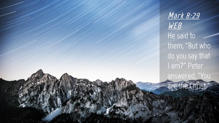Picture 04 - Mark 8:29 WEB Desktop Wallpaper - He said to them, 