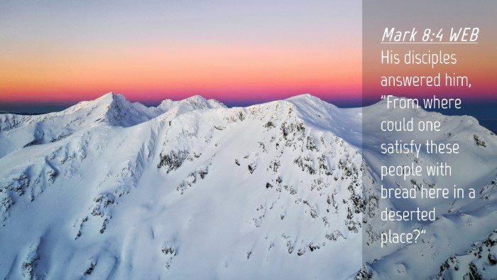 Picture 04 - Mark 8:4 WEB Desktop Wallpaper - His disciples answered him, 