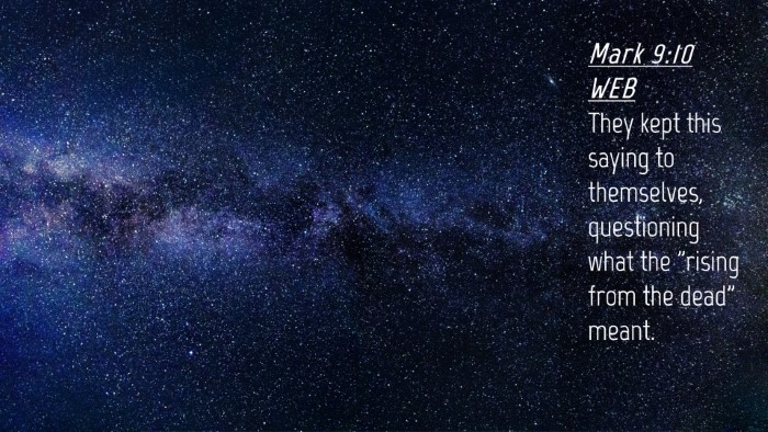 Picture 04 - Mark 9:10 WEB Desktop Wallpaper - They kept this saying to themselves, questioning - Desktop Bible Verse Wallpaper