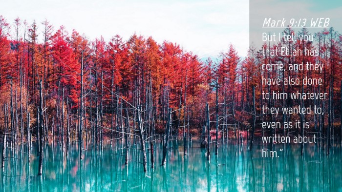 Picture 04 - Mark 9:13 WEB Desktop Wallpaper - But I tell you that Elijah has come, and they - Desktop Bible Verse Wallpaper