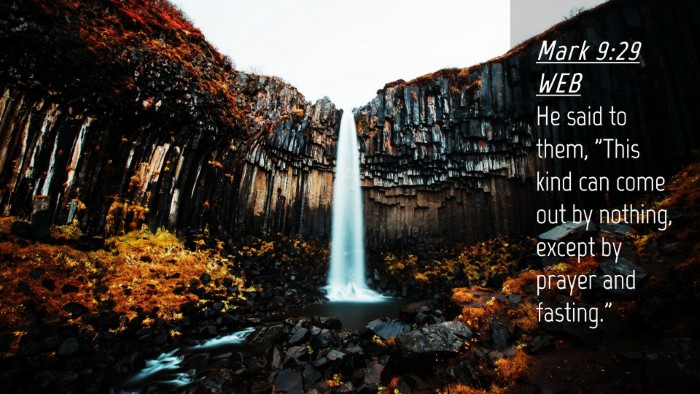 Picture 04 - Mark 9:29 WEB Desktop Wallpaper - He said to them, 