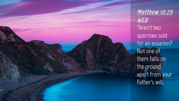 Picture 04 - Matthew 10:29 WEB Desktop Wallpaper - 