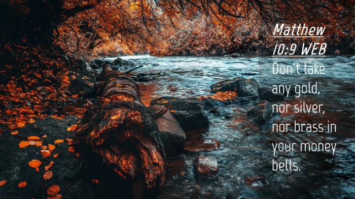 Picture 04 - Matthew 10:9 WEB Desktop Wallpaper - Don't take any gold, nor silver, nor brass in - Desktop Bible Verse Wallpaper