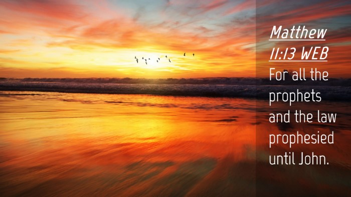 Picture 04 - Matthew 11:13 WEB Desktop Wallpaper - For all the prophets and the law prophesied until - Desktop Bible Verse Wallpaper