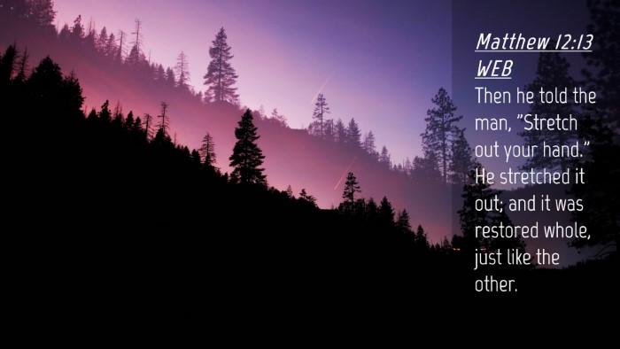 Picture 04 - Matthew 12:13 WEB Desktop Wallpaper - Then he told the man, 