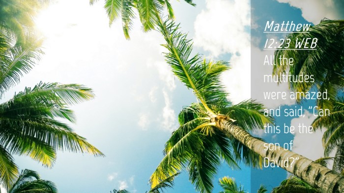 Picture 04 - Matthew 12:23 WEB Desktop Wallpaper - All the multitudes were amazed, and said, 