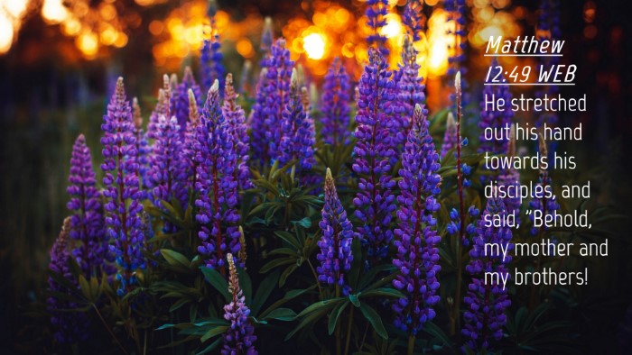 Picture 04 - Matthew 12:49 WEB Desktop Wallpaper - He stretched out his hand towards his disciples, - Desktop Bible Verse Wallpaper