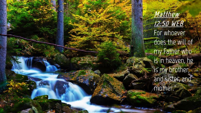 Picture 04 - Matthew 12:50 WEB Desktop Wallpaper - For whoever does the will of my Father who is in - Desktop Bible Verse Wallpaper