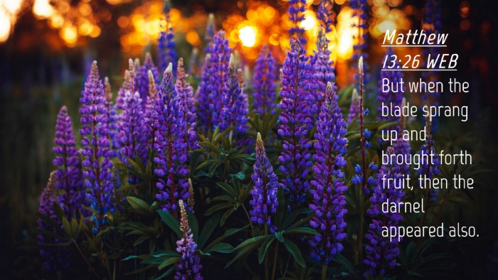 Picture 04 - Matthew 13:26 WEB Desktop Wallpaper - But when the blade sprang up and brought forth - Desktop Bible Verse Wallpaper