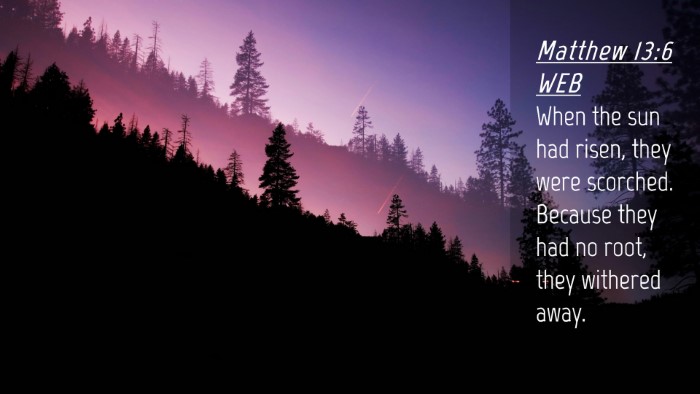 Picture 04 - Matthew 13:6 WEB Desktop Wallpaper - When the sun had risen, they were scorched. - Desktop Bible Verse Wallpaper
