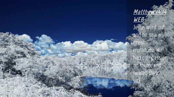 Picture 04 - Matthew 14:14 WEB Desktop Wallpaper - Jesus went out, and he saw a great multitude. He - Desktop Bible Verse Wallpaper