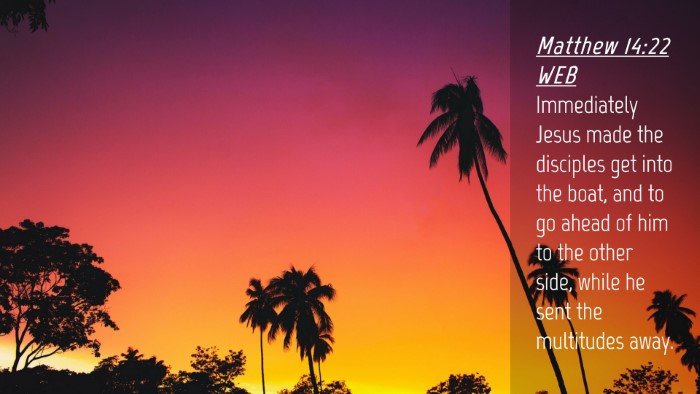 Picture 04 - Matthew 14:22 WEB Desktop Wallpaper - Immediately Jesus made the disciples get into the - Desktop Bible Verse Wallpaper