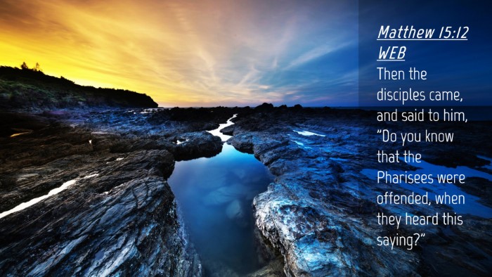 Picture 04 - Matthew 15:12 WEB Desktop Wallpaper - Then the disciples came, and said to him, 