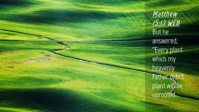 Picture 04 - Matthew 15:13 WEB Desktop Wallpaper - But he answered, 