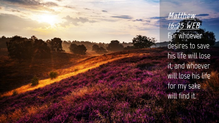 Picture 04 - Matthew 16:25 WEB Desktop Wallpaper - For whoever desires to save his life will lose - Desktop Bible Verse Wallpaper