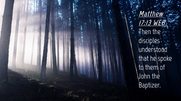 Picture 04 - Matthew 17:13 WEB Desktop Wallpaper - Then the disciples understood that he spoke to - Desktop Bible Verse Wallpaper