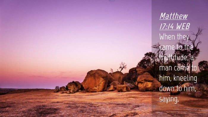 Picture 04 - Matthew 17:14 WEB Desktop Wallpaper - When they came to the multitude, a man came to - Desktop Bible Verse Wallpaper