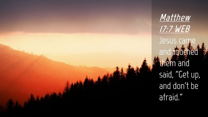 Picture 04 - Matthew 17:7 WEB Desktop Wallpaper - Jesus came and touched them and said, 