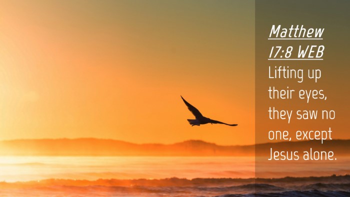 Picture 04 - Matthew 17:8 WEB Desktop Wallpaper - Lifting up their eyes, they saw no one, except - Desktop Bible Verse Wallpaper