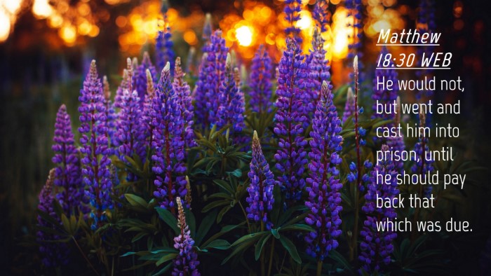 Picture 04 - Matthew 18:30 WEB Desktop Wallpaper - He would not, but went and cast him into prison, - Desktop Bible Verse Wallpaper