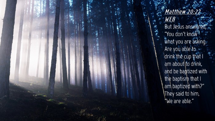 Picture 04 - Matthew 20:22 WEB Desktop Wallpaper - But Jesus answered, 