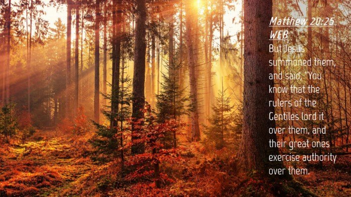 Picture 04 - Matthew 20:25 WEB Desktop Wallpaper - But Jesus summoned them, and said, 