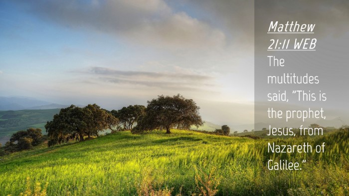 Picture 04 - Matthew 21:11 WEB Desktop Wallpaper - The multitudes said, 