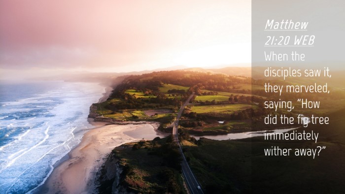 Picture 04 - Matthew 21:20 WEB Desktop Wallpaper - When the disciples saw it, they marveled, saying, - Desktop Bible Verse Wallpaper