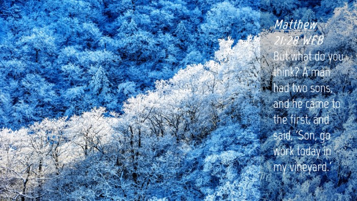 Picture 04 - Matthew 21:28 WEB Desktop Wallpaper - But what do you think? A man had two sons, and he - Desktop Bible Verse Wallpaper
