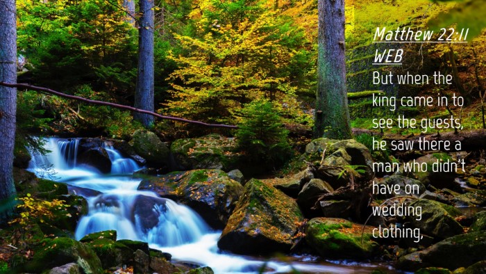 Picture 04 - Matthew 22:11 WEB Desktop Wallpaper - But when the king came in to see the guests, he - Desktop Bible Verse Wallpaper