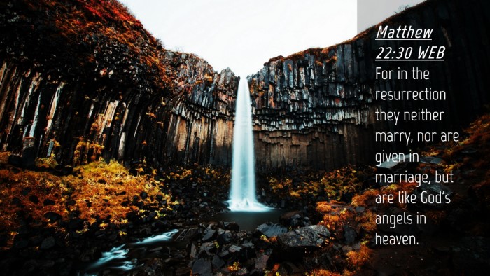 Picture 04 - Matthew 22:30 WEB Desktop Wallpaper - For in the resurrection they neither marry, nor - Desktop Bible Verse Wallpaper