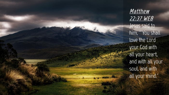 Picture 04 - Matthew 22:37 WEB Desktop Wallpaper - Jesus said to him, 