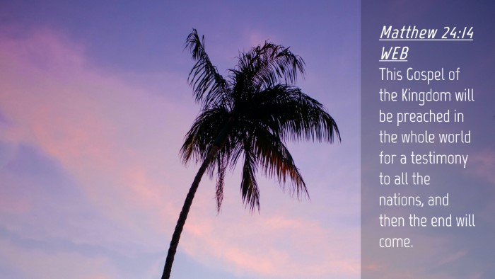 Picture 04 - Matthew 24:14 WEB Desktop Wallpaper - This Gospel of the Kingdom will be preached in - Desktop Bible Verse Wallpaper