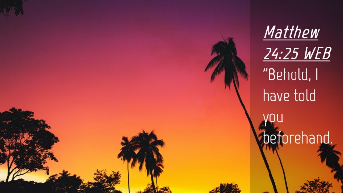 Picture 04 - Matthew 24:25 WEB Desktop Wallpaper - 