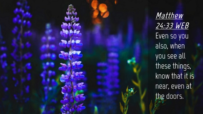 Picture 04 - Matthew 24:33 WEB Desktop Wallpaper - Even so you also, when you see all these things, - Desktop Bible Verse Wallpaper