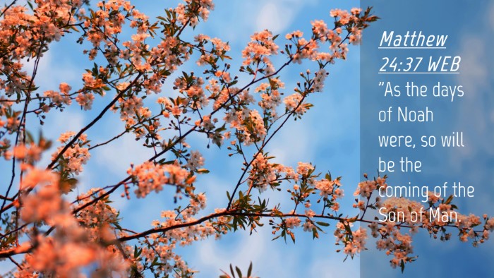 Picture 04 - Matthew 24:37 WEB Desktop Wallpaper - 
