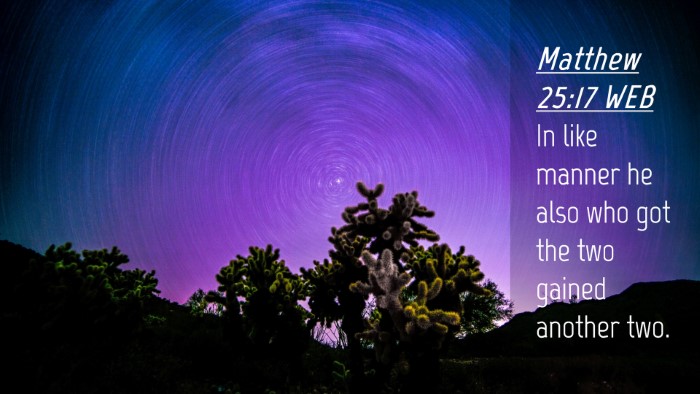Picture 04 - Matthew 25:17 WEB Desktop Wallpaper - In like manner he also who got the two gained - Desktop Bible Verse Wallpaper