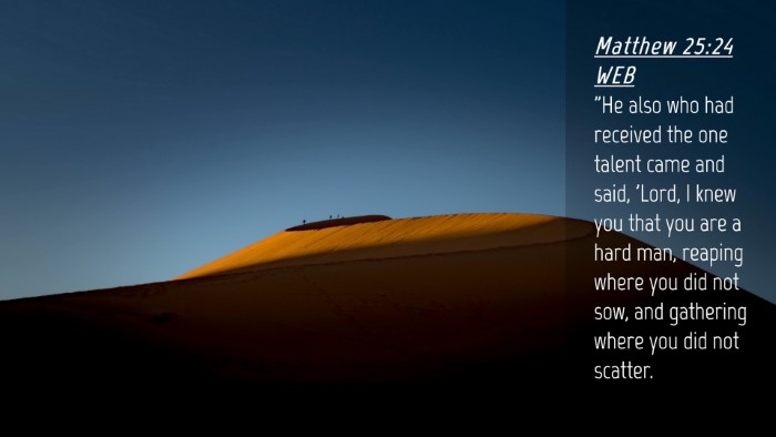 Picture 04 - Matthew 25:24 WEB Desktop Wallpaper - 